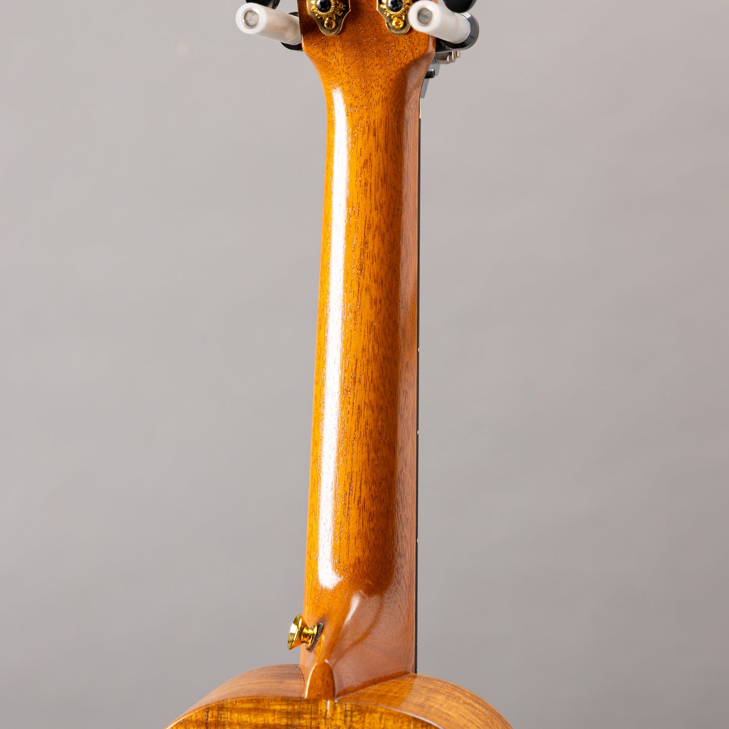 G String C1 Sun Concert  2023  w/pu