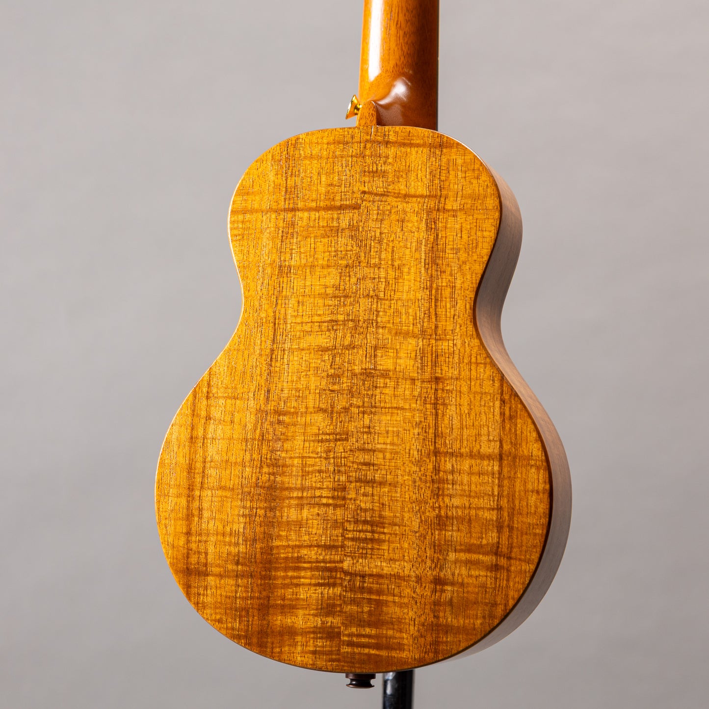 G String C1 Sun Concert  2023  w/pu