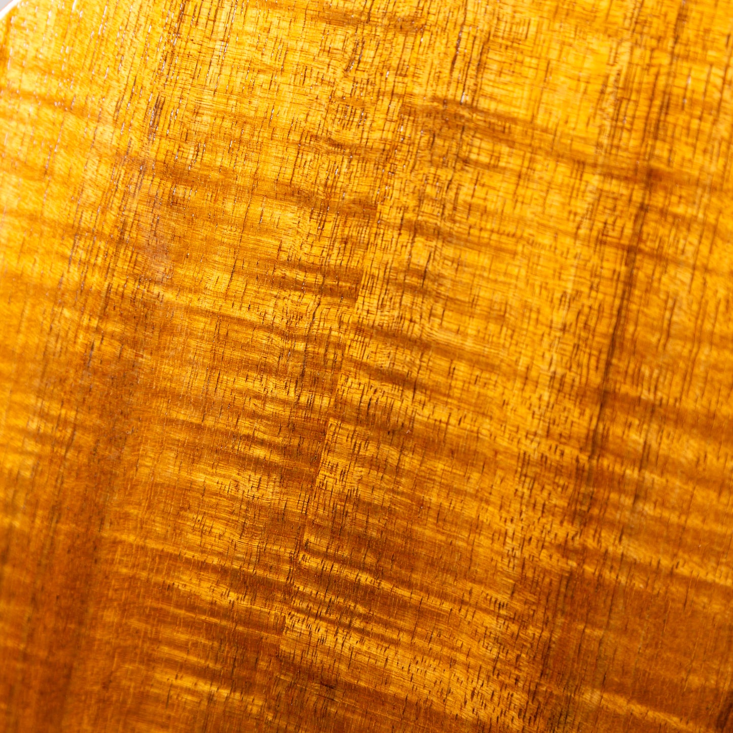 G String C1 Sun Concert  2023  w/pu