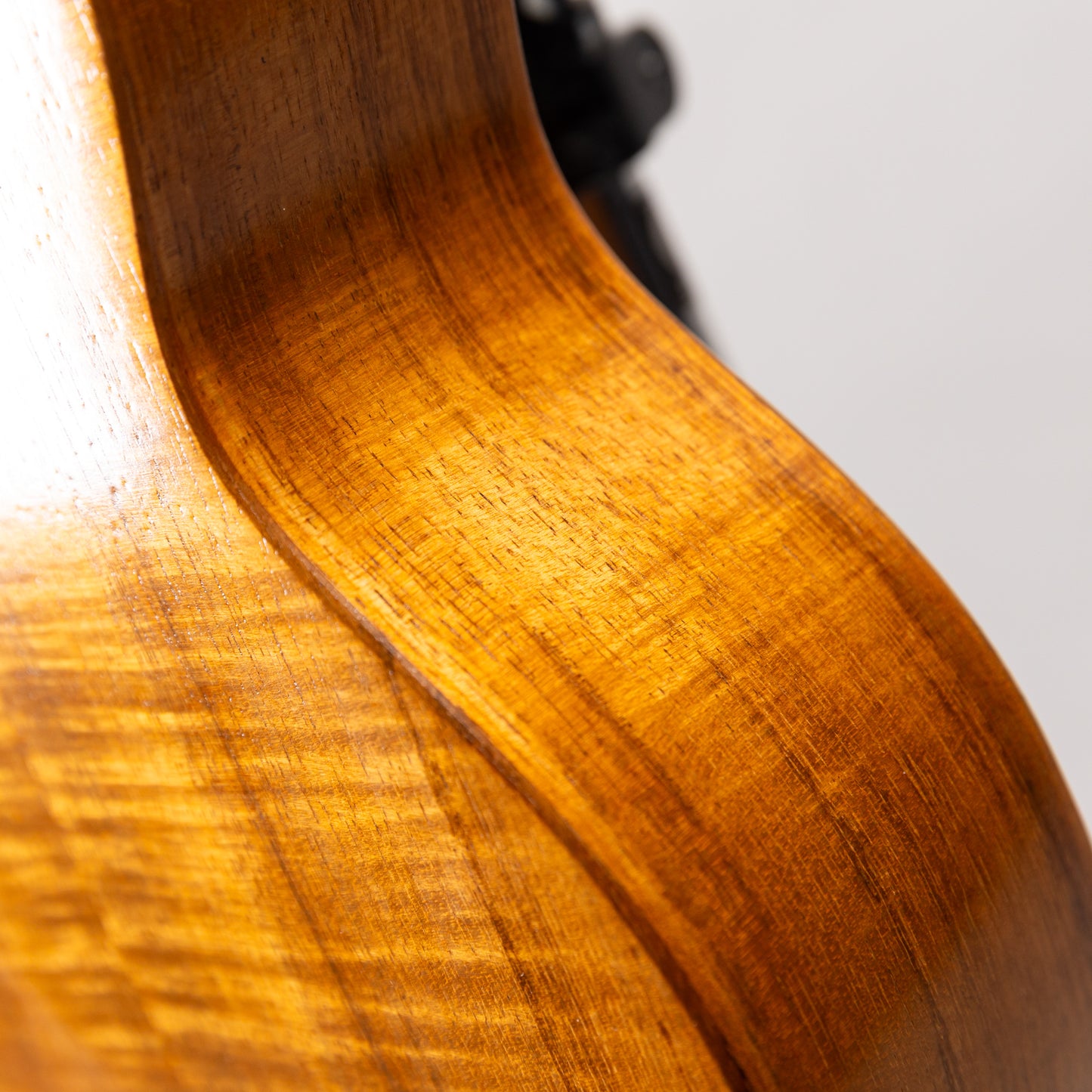 G String C1 Sun Concert  2023  w/pu