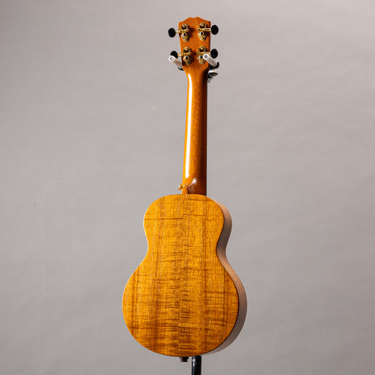 G String C1 Sun Concert  2023  w/pu