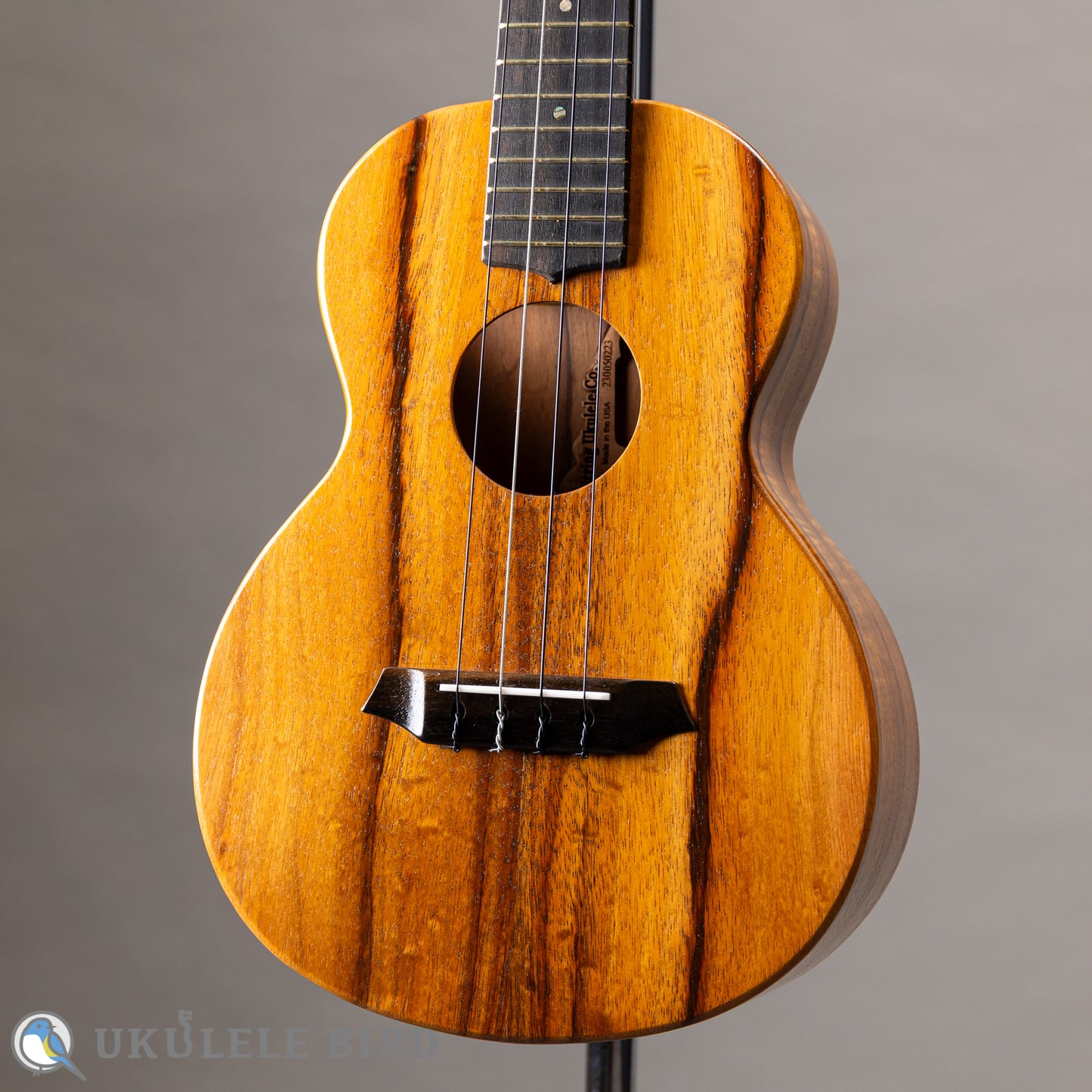 G String T4 Plain SH Tenor 2023