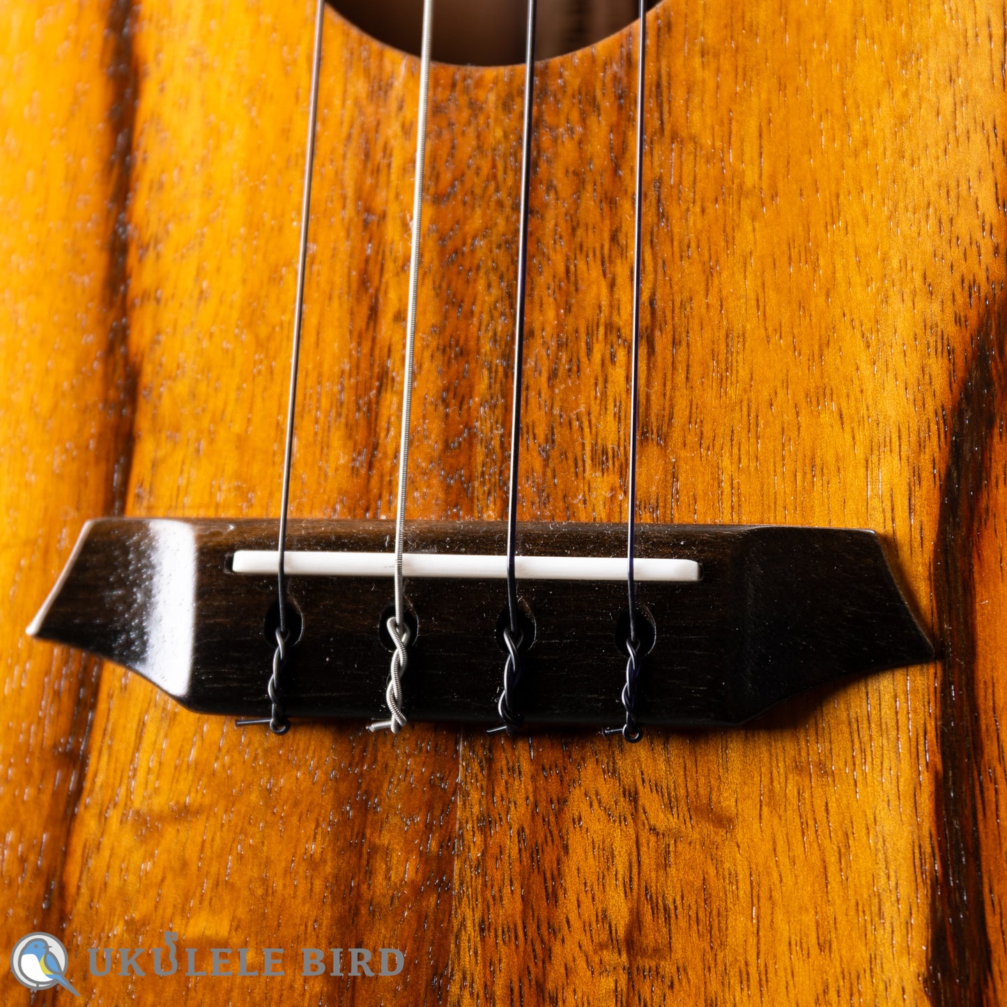 G String T4 Plain SH Tenor 2023