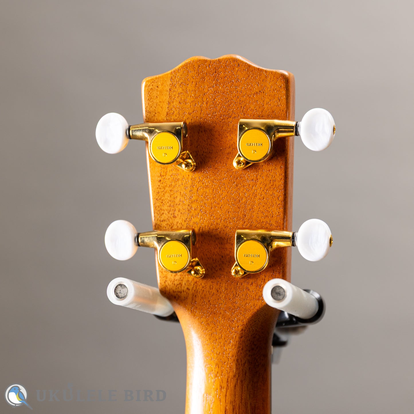 G String T4 Plain SH Tenor 2023