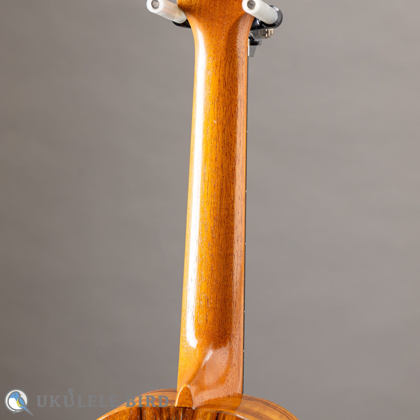 G String T4 Plain SH Tenor 2023