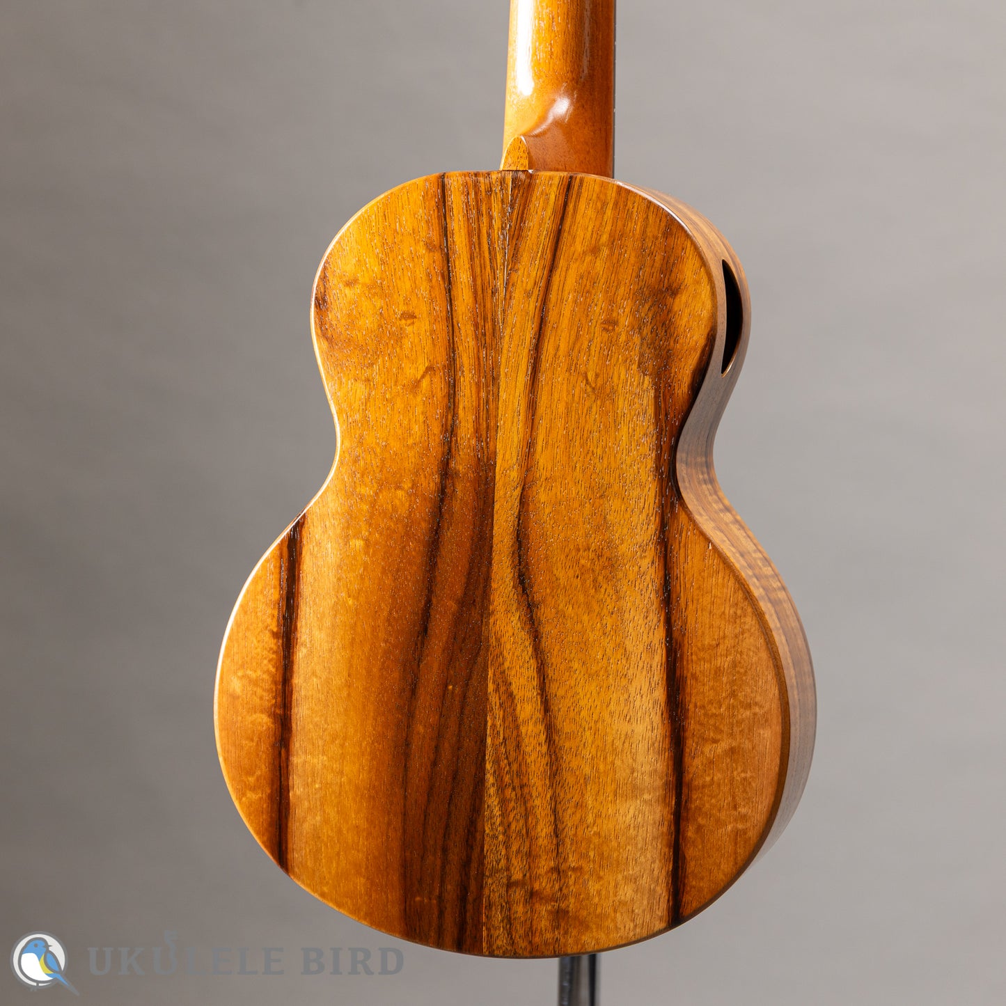 G String T4 Plain SH Tenor 2023