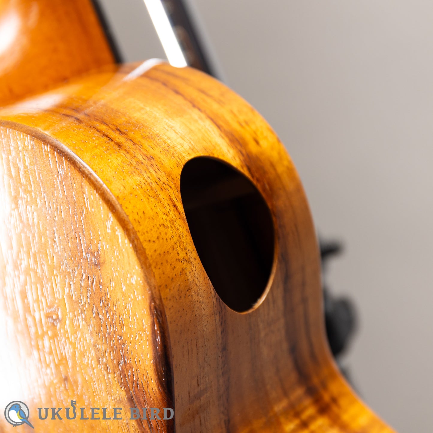 G String T4 Plain SH Tenor 2023