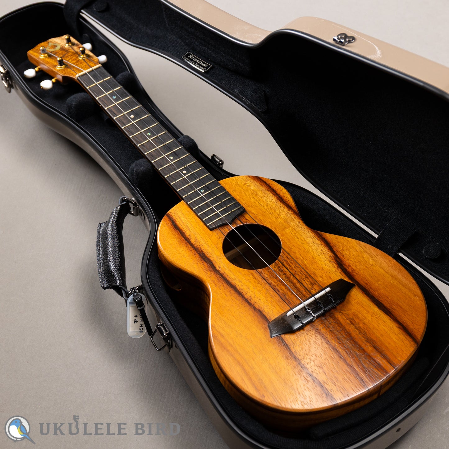 G String T4 Plain SH Tenor 2023