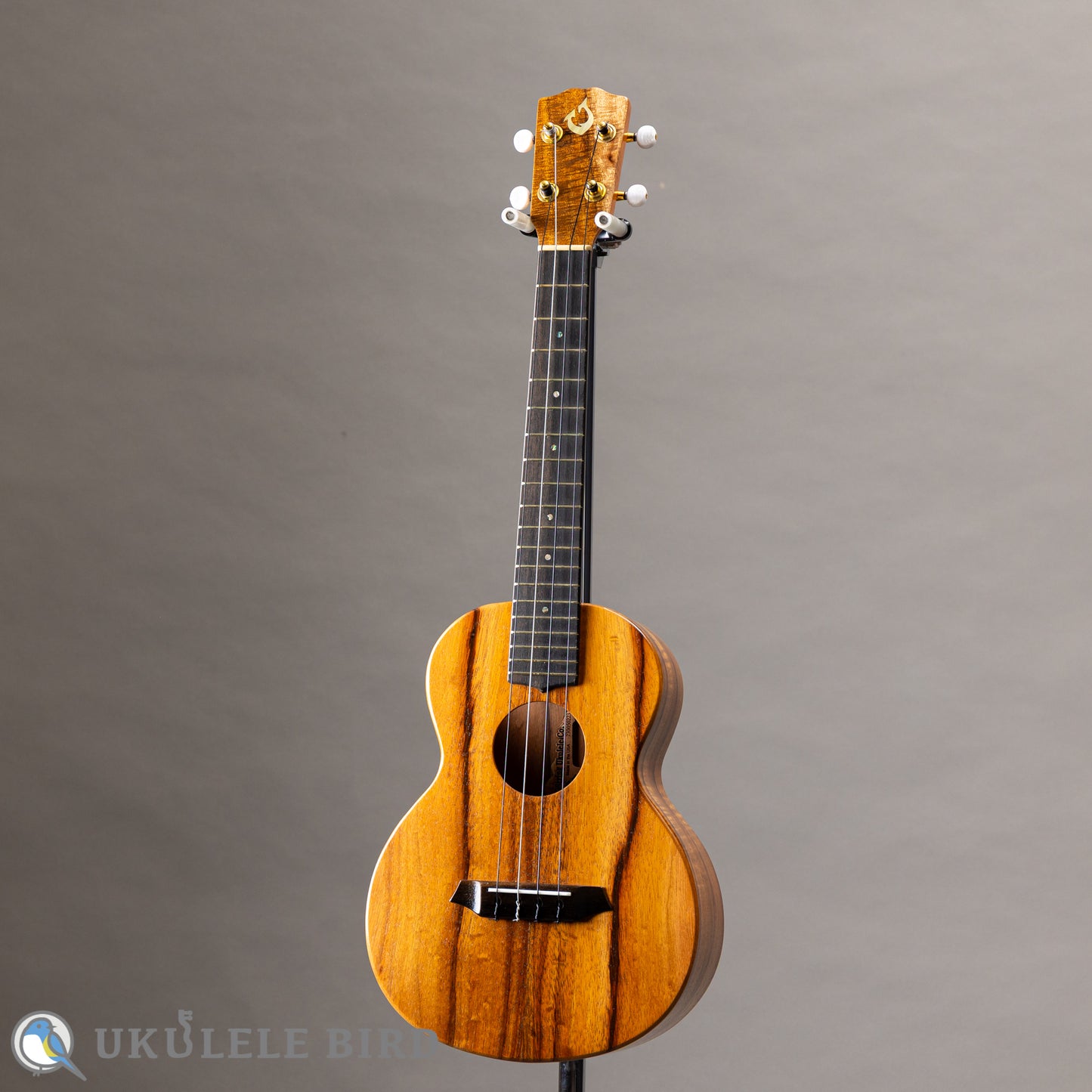 G String T4 Plain SH Tenor 2023