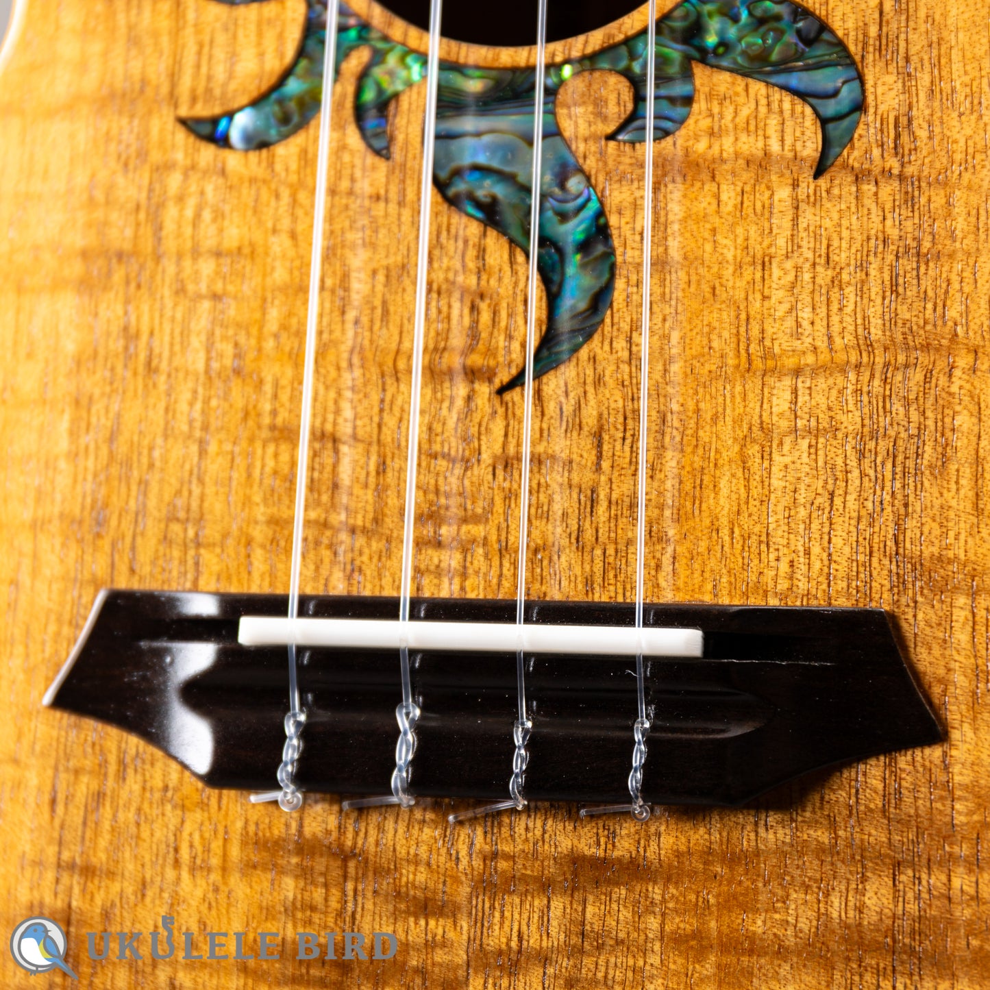 G String T4 Sun Tenor Thin Body w/PU