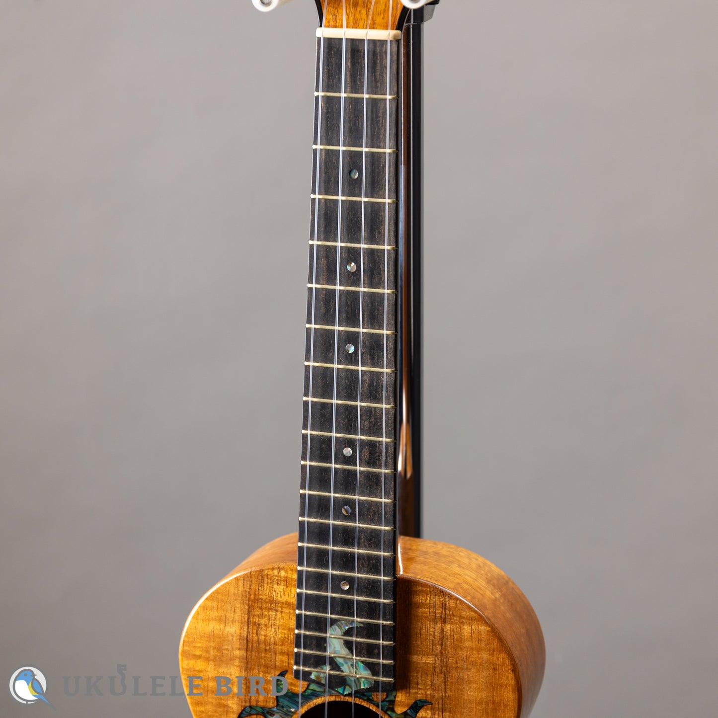 G String T4 Sun Tenor Thin Body w/PU