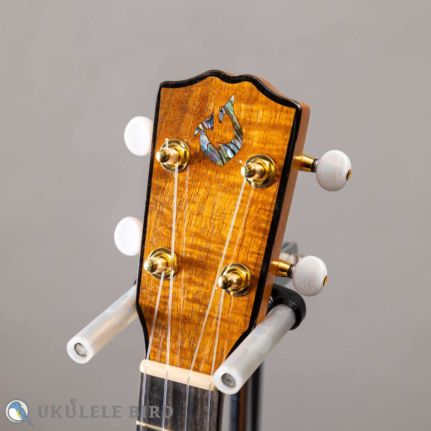 G String T4 Sun Tenor Thin Body w/PU