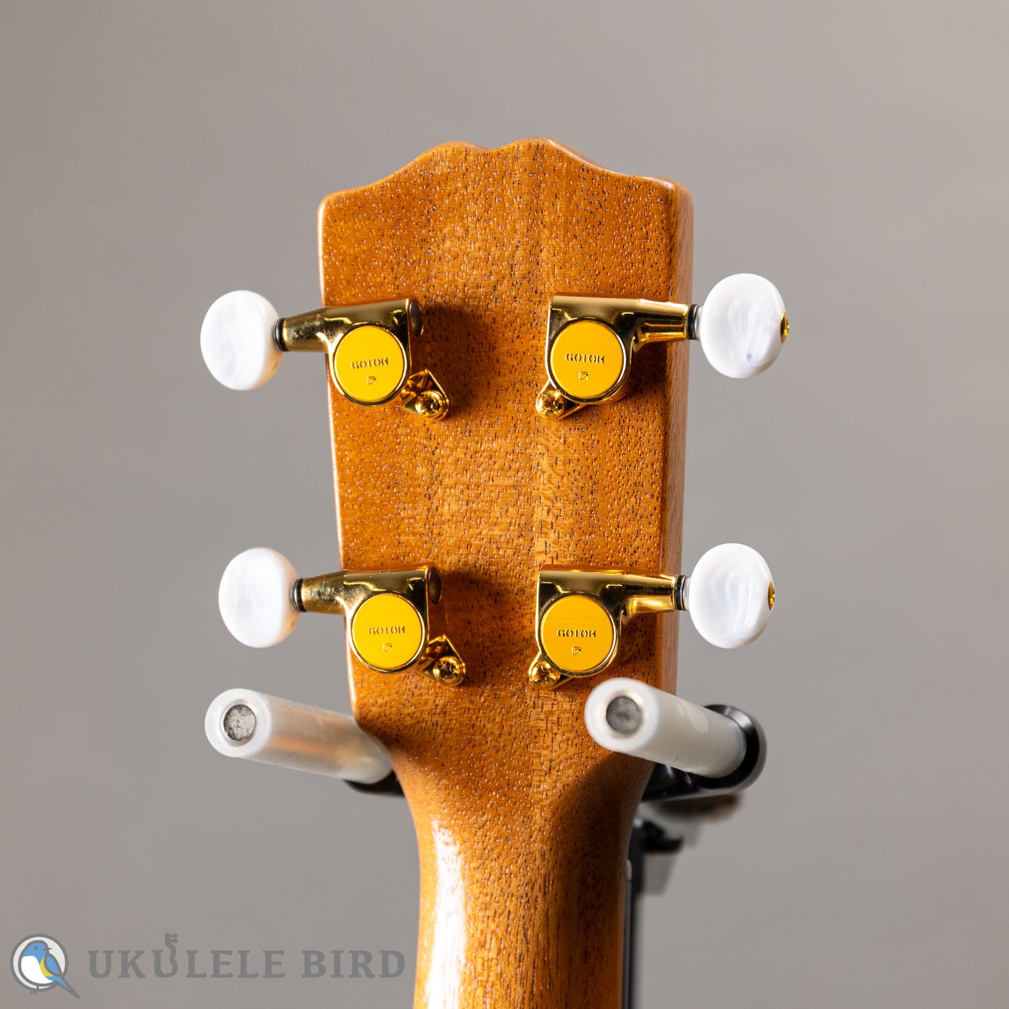 G String T4 Sun Tenor Thin Body w/PU