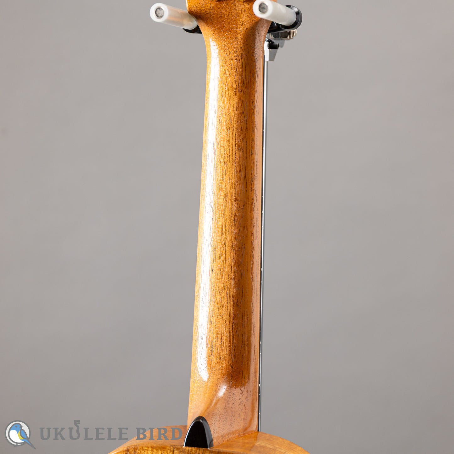 G String T4 Sun Tenor Thin Body w/PU