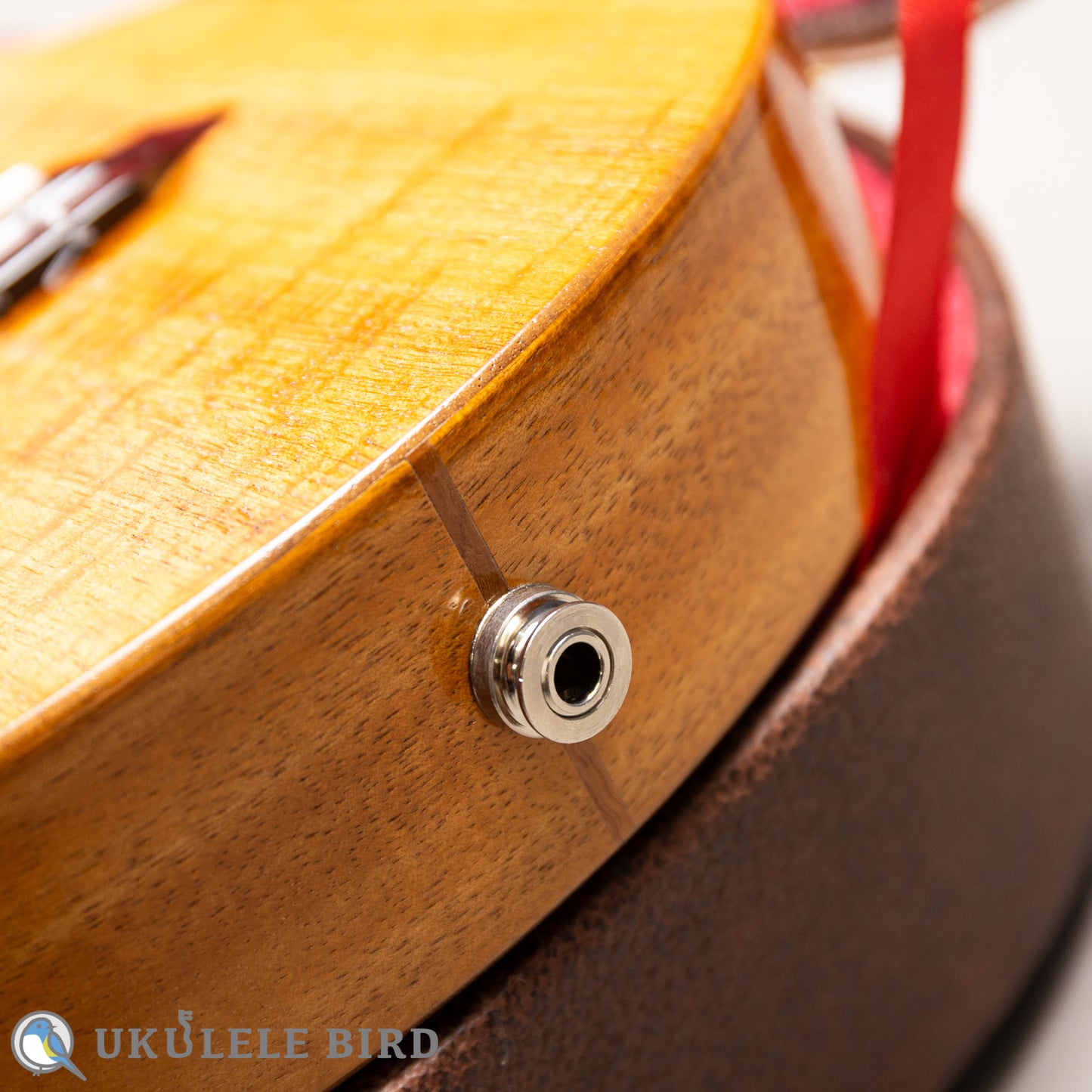 G String T4 Sun Tenor Thin Body w/PU