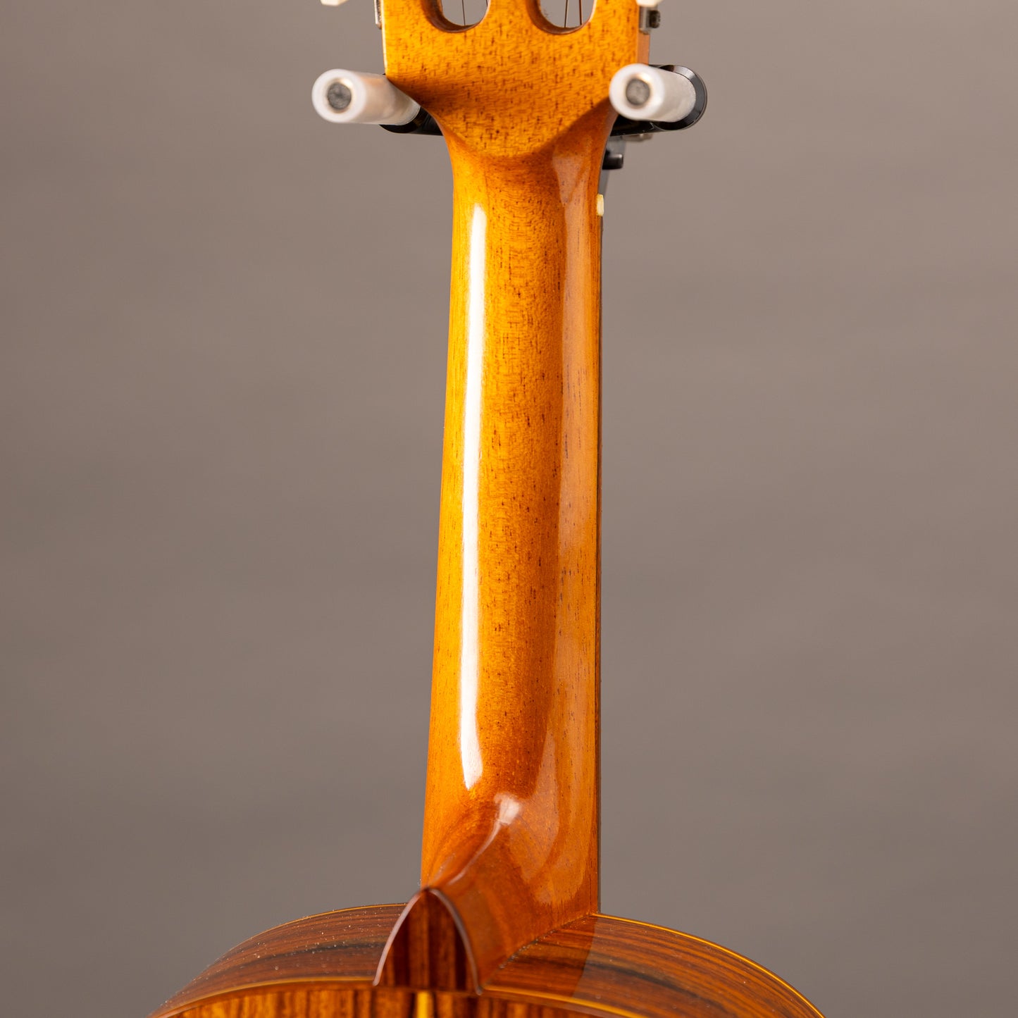 Giannini Cavaco Estudio   2000s