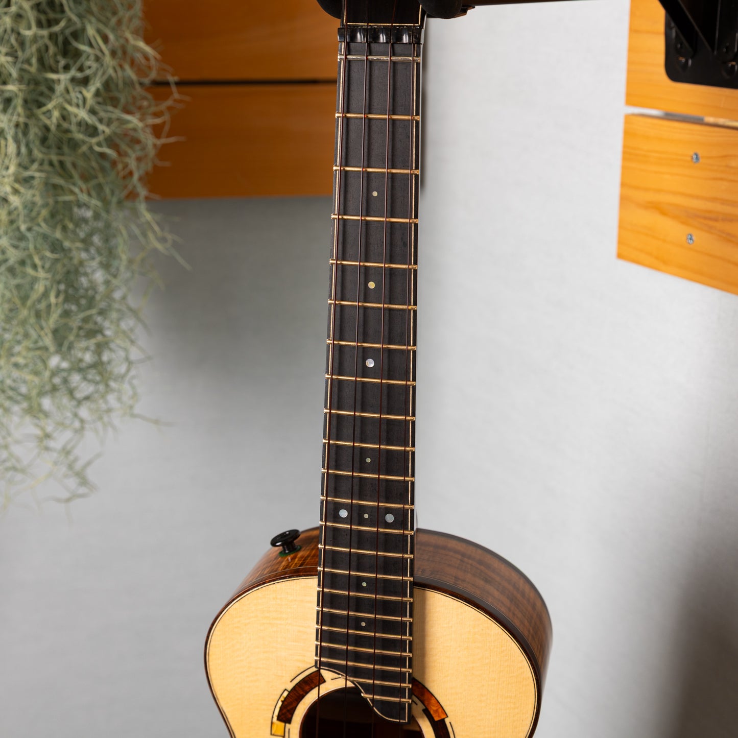 Gladstone Luthiers Tasmanian Blackwood Tenor