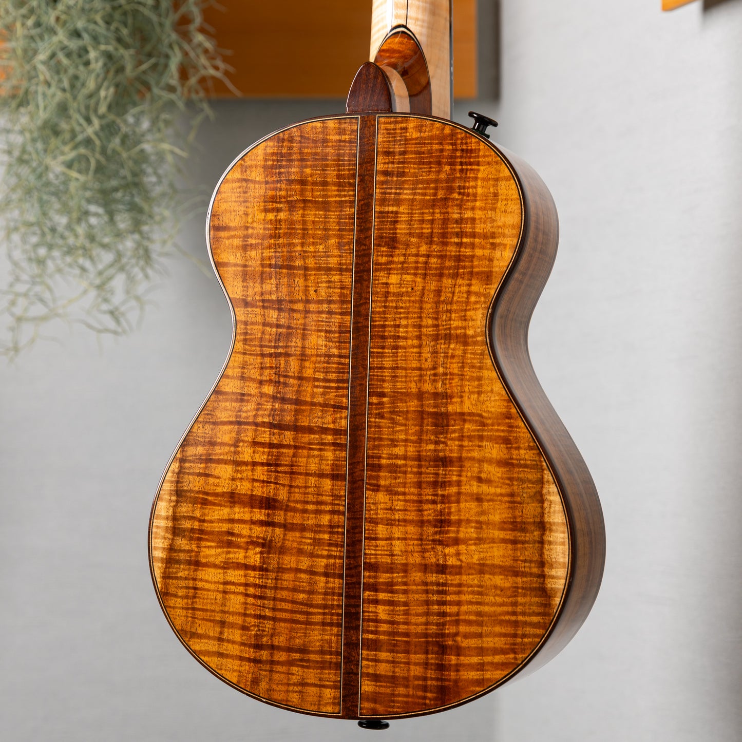 Gladstone Luthiers Tasmanian Blackwood Tenor