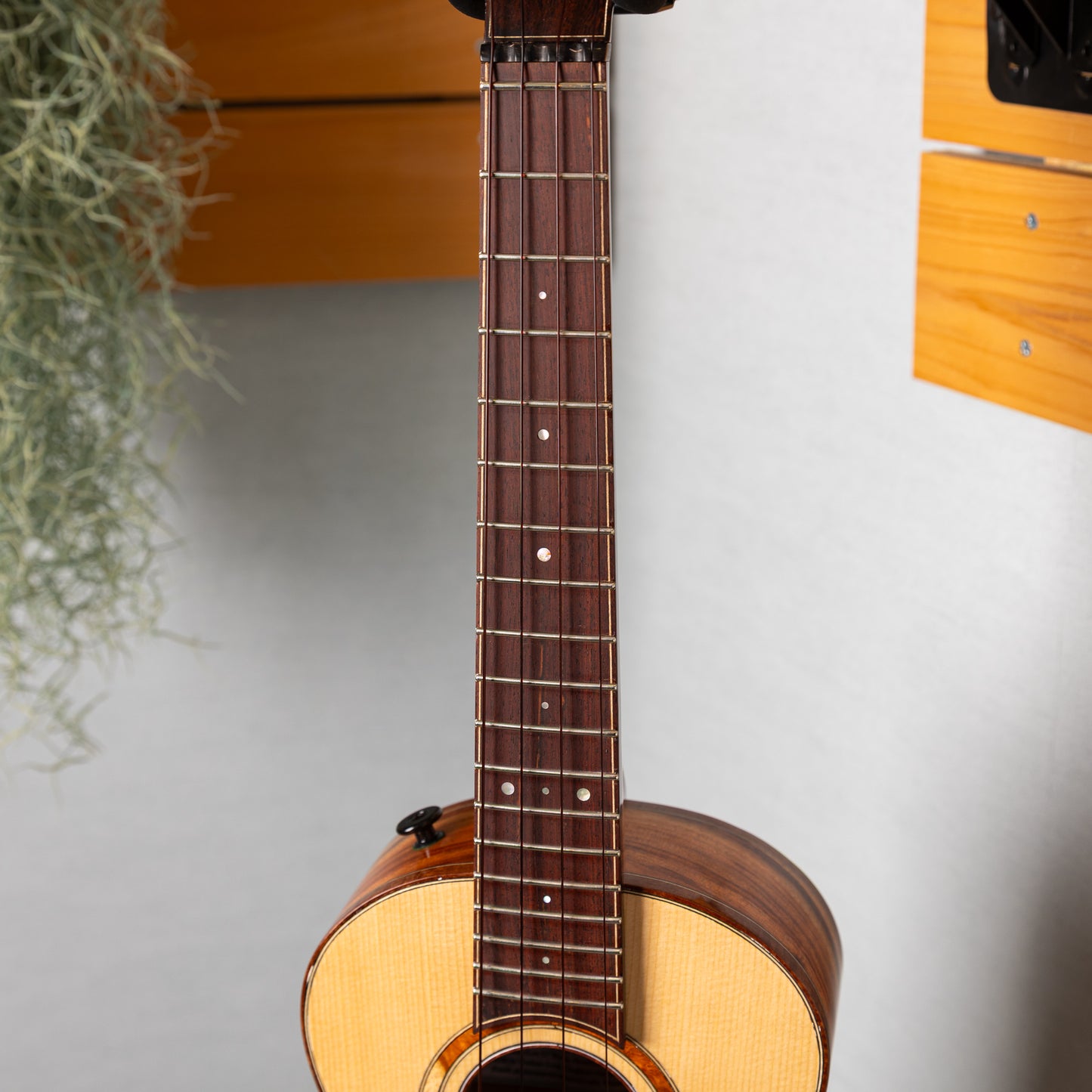 Gladstone Luthiers Camphor Laurel Tenor