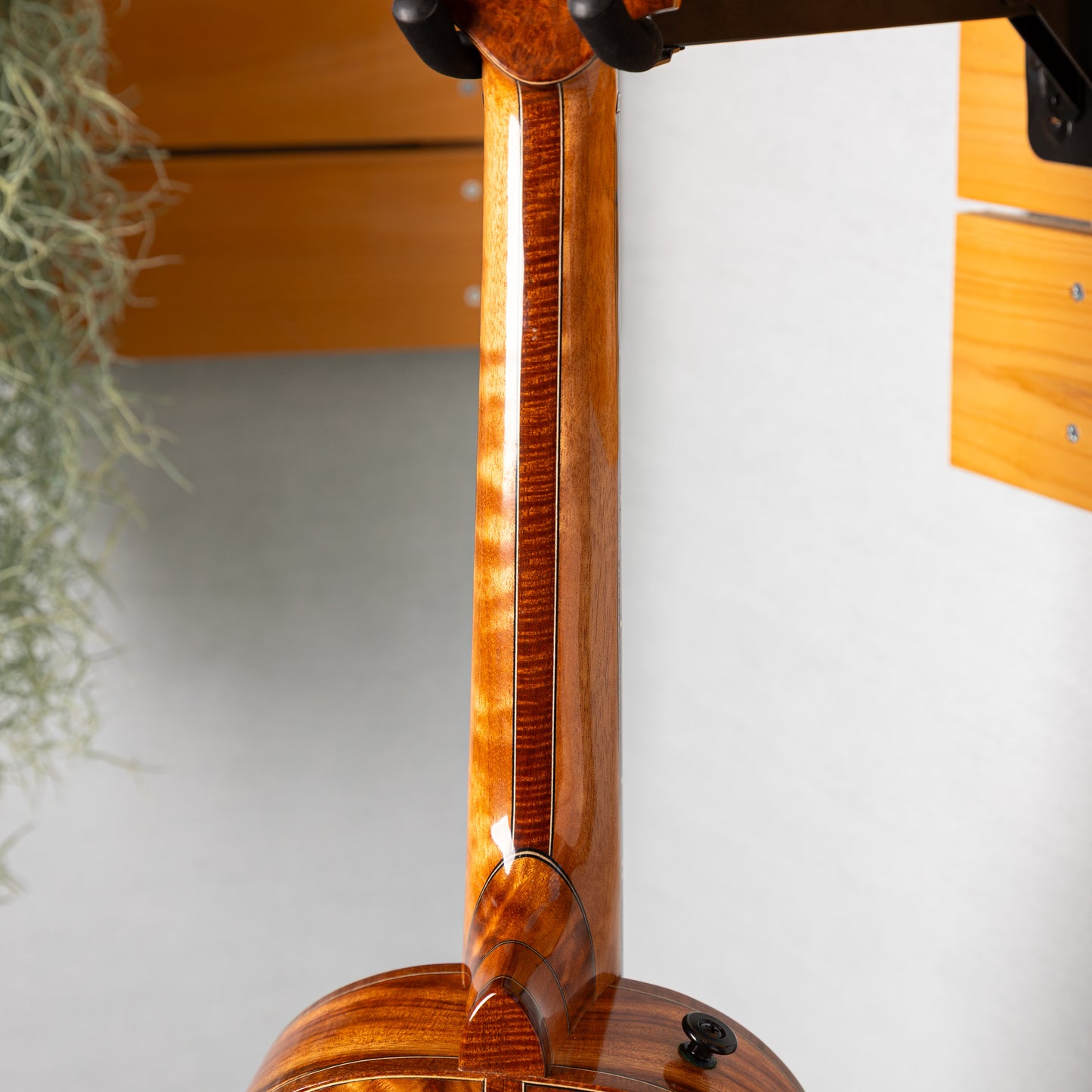Gladstone Luthiers Camphor Laurel Tenor