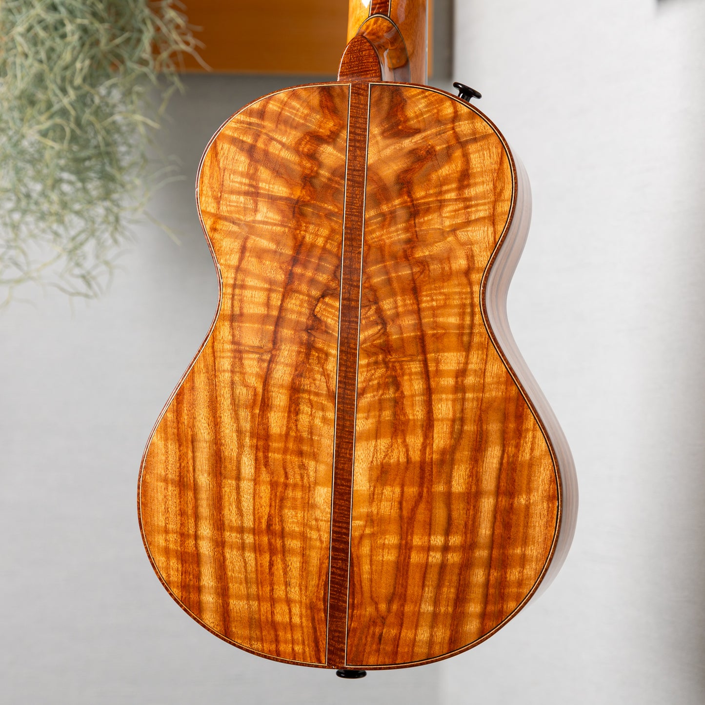 Gladstone Luthiers Camphor Laurel Tenor