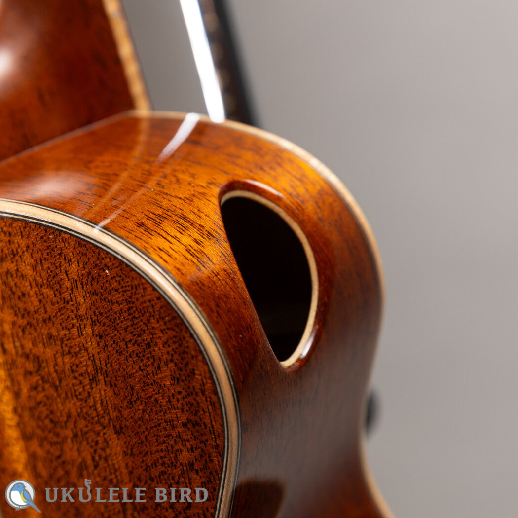 Hozen Green Label Tenor African Mahogany