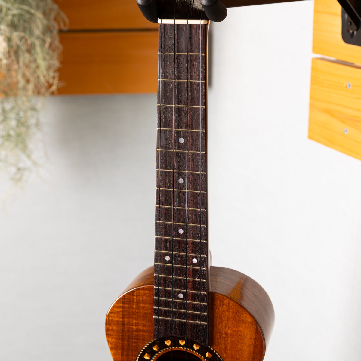 ike handcraft Concert No.01826