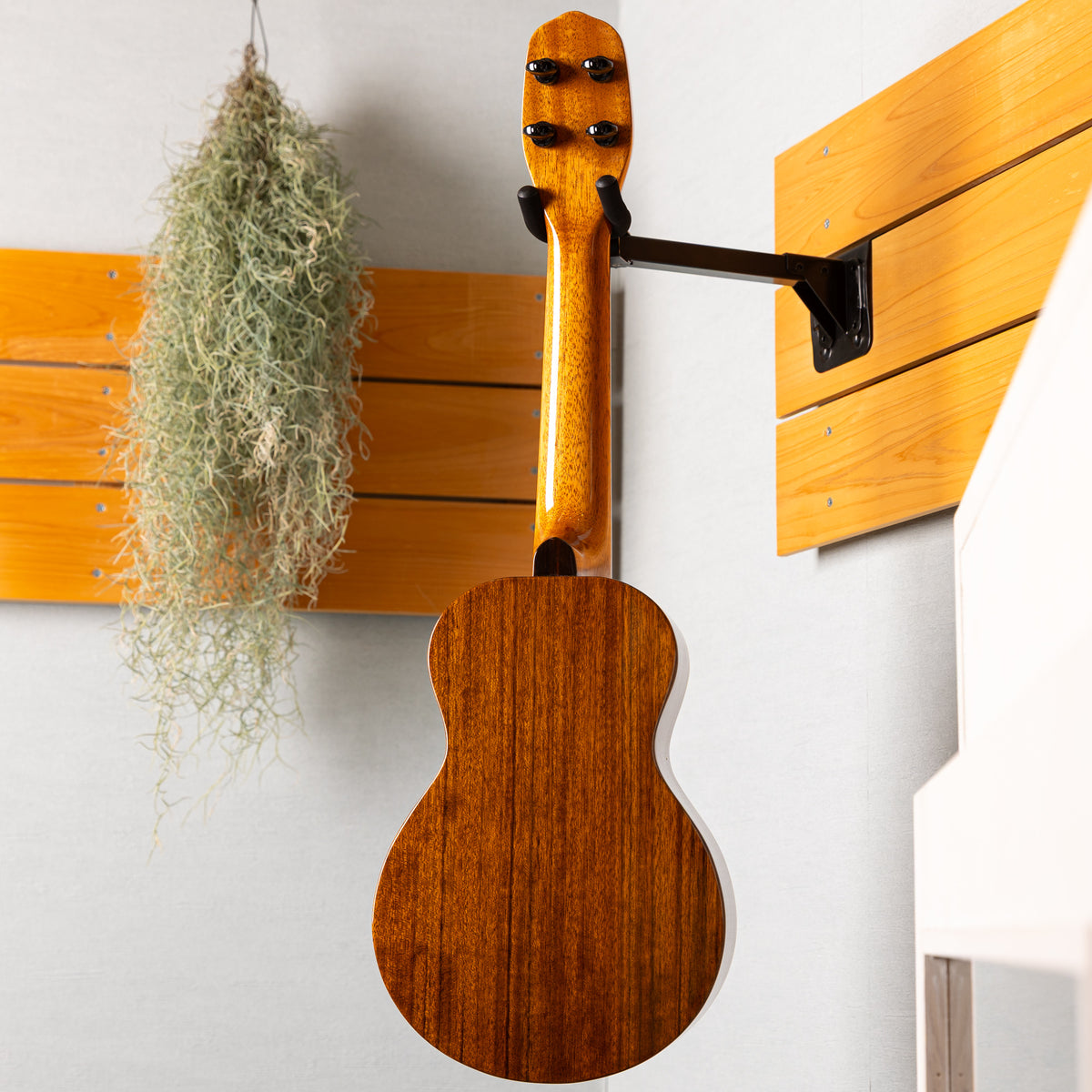 ike handcraft Concert No.01826