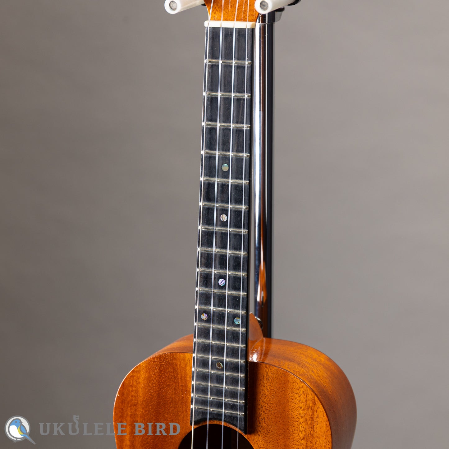 Island Ukulele TM  Tenor Ukulele 2010s