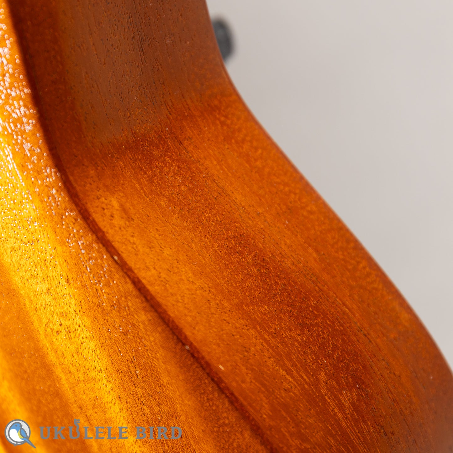 Island Ukulele TM  Tenor Ukulele 2010s