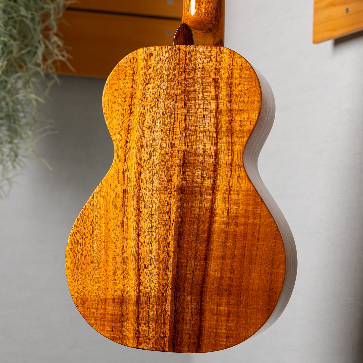 KIDA UkuleleWorks Hawaiian Koa Concert