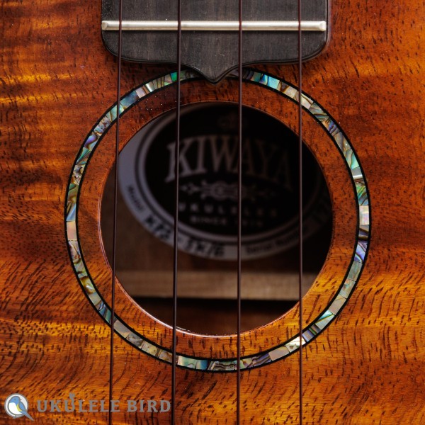 KIWAYA KPS-5K/E