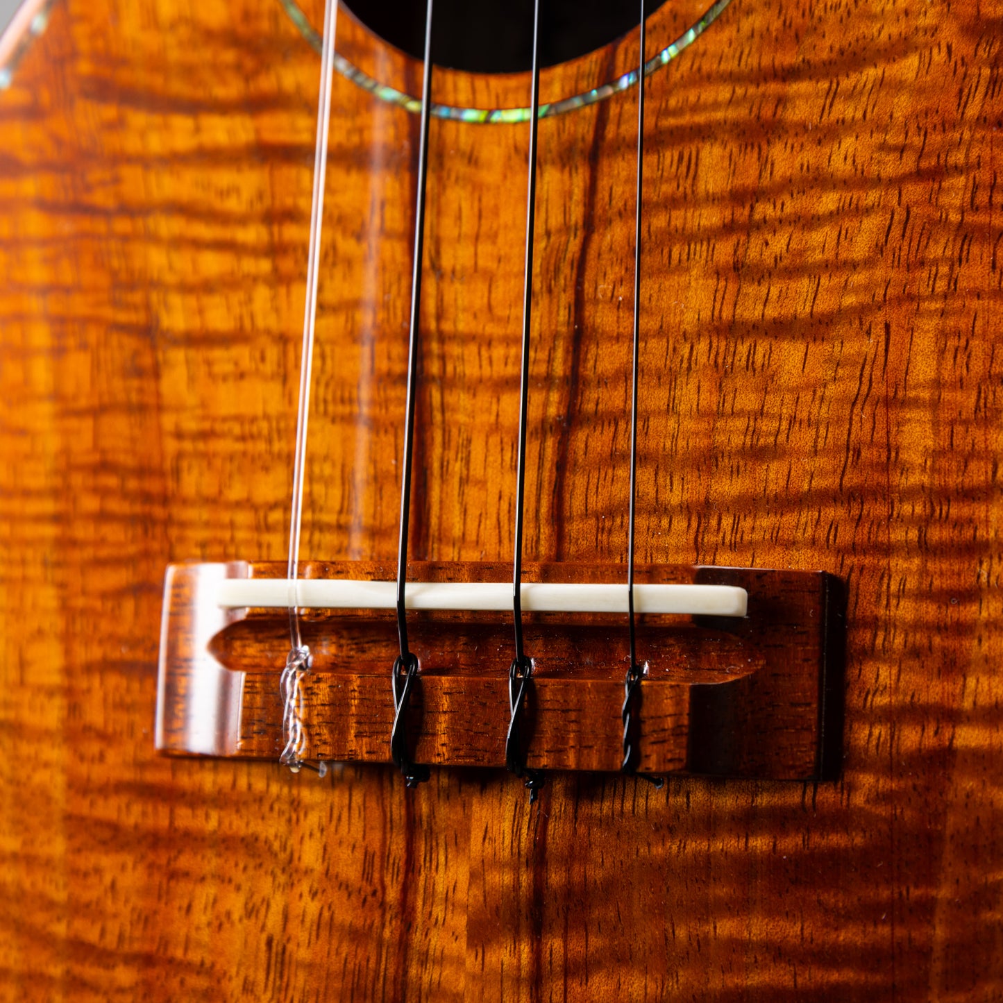 Seilen SLMT-284LTD/cst     Used 2021年製