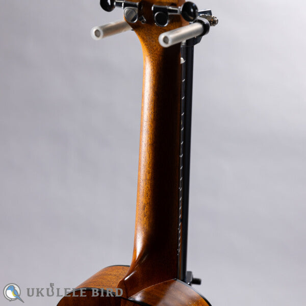 KUMU UKULELE Concert CM54A