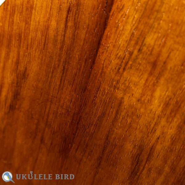 KUMU UKULELE Concert CM54A