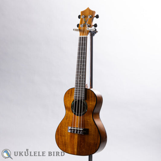 KUMU UKULELE Concert CM54A