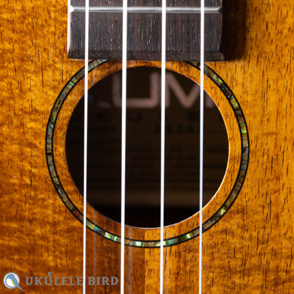 KUMU UKULELE Soprano SQ34A