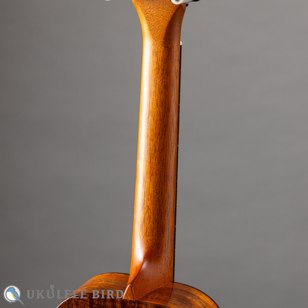 Kanile'a KPA Tenor PG