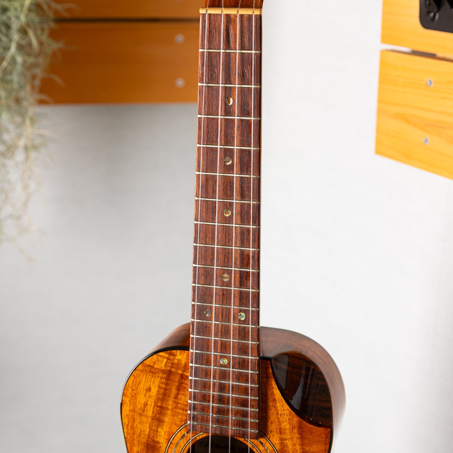 Kanileʻa Custom-C   2013