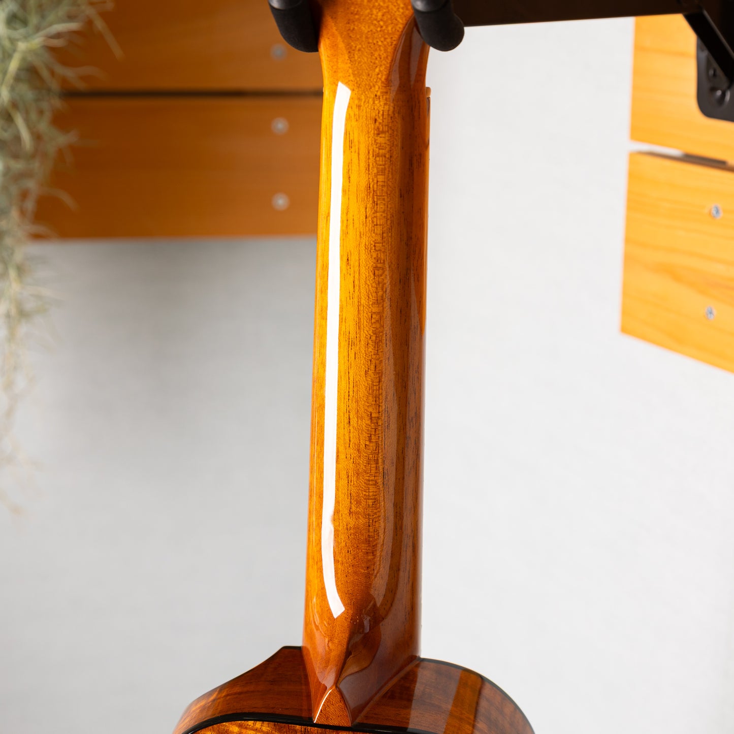 Kanileʻa Custom-C   2013