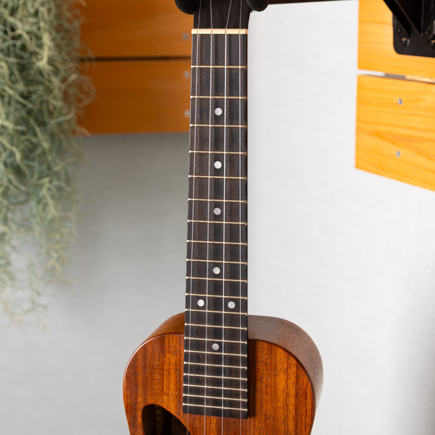 Kanile’a  D-1C/NAT