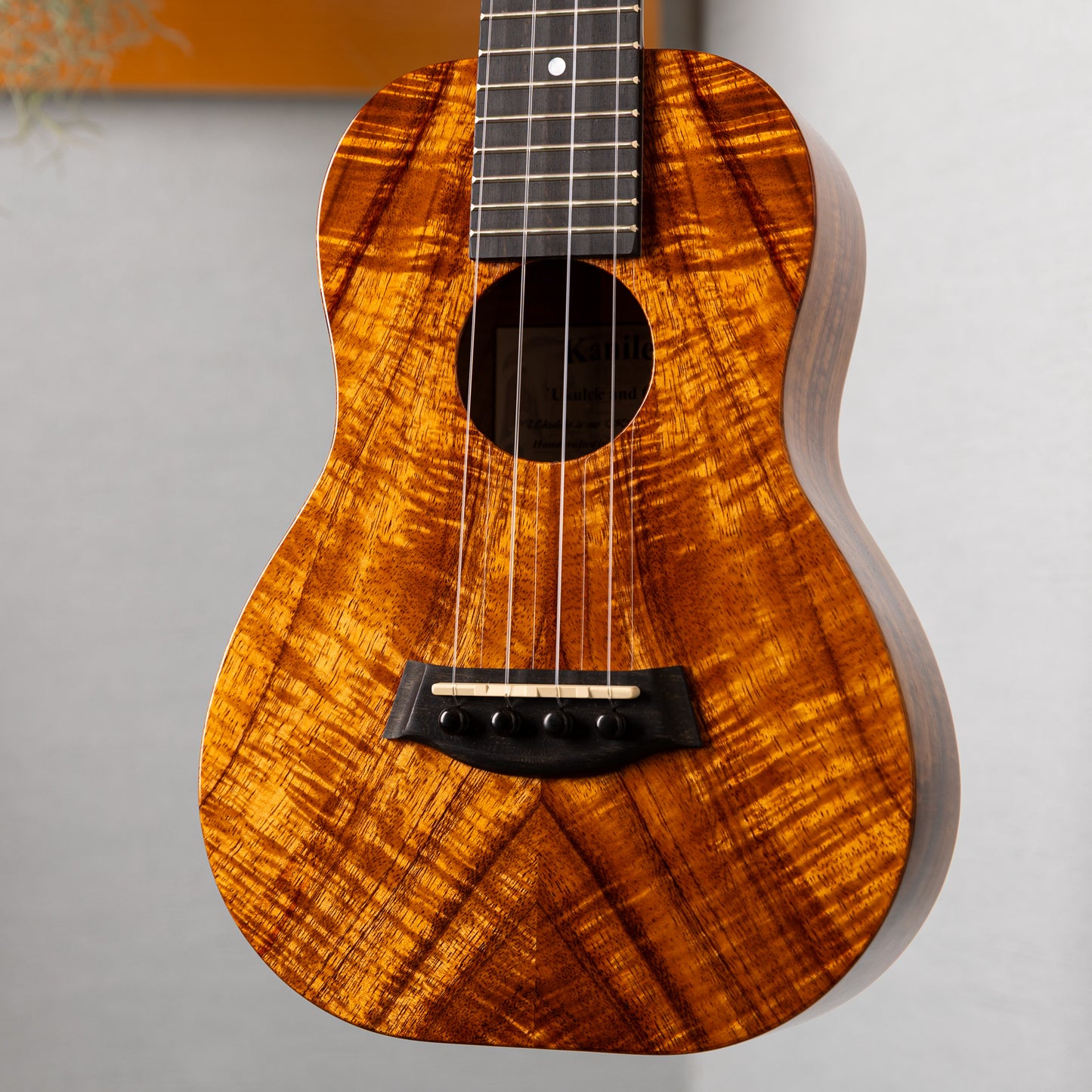 Kanilea K-1C/CORE