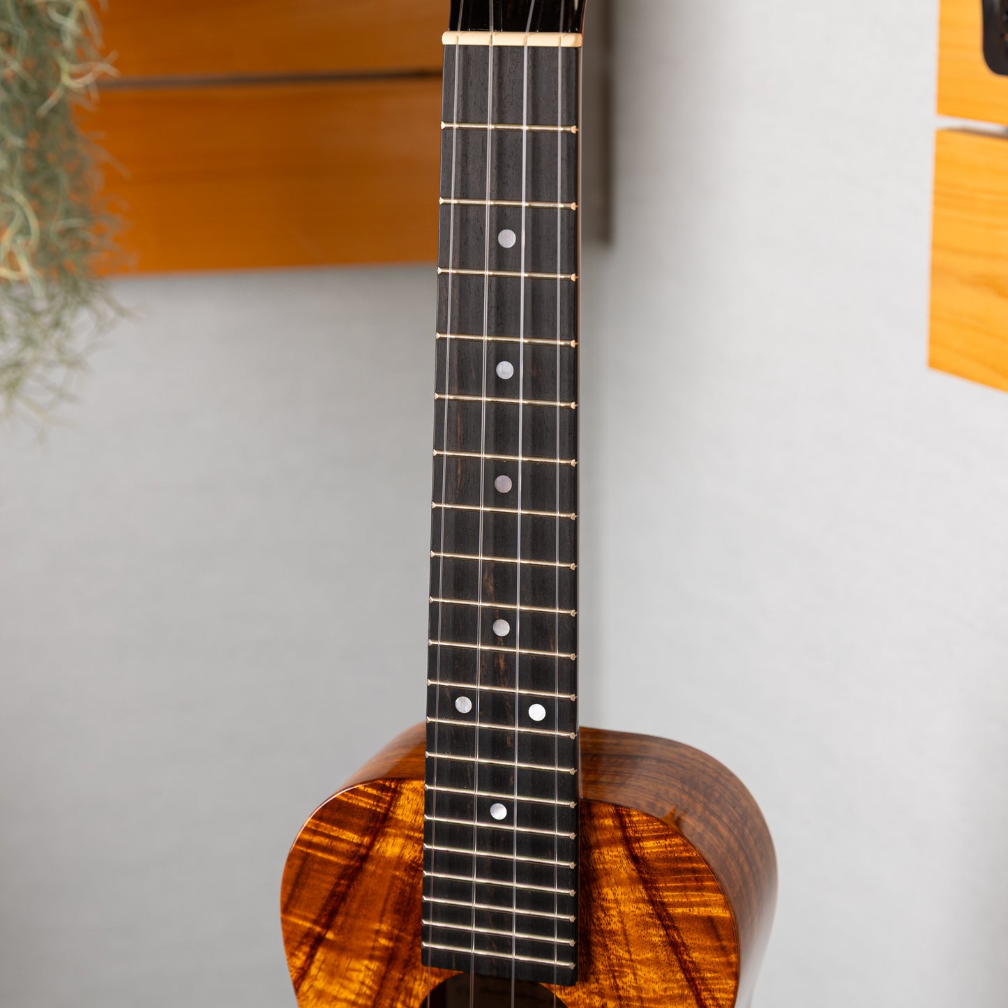 Kanilea K-1C/CORE