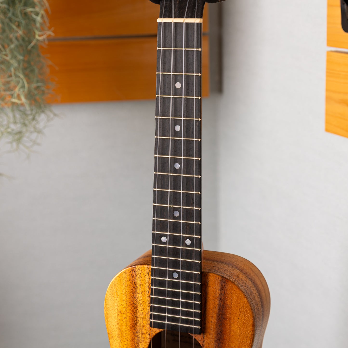 Kanile'a K-1C Natural