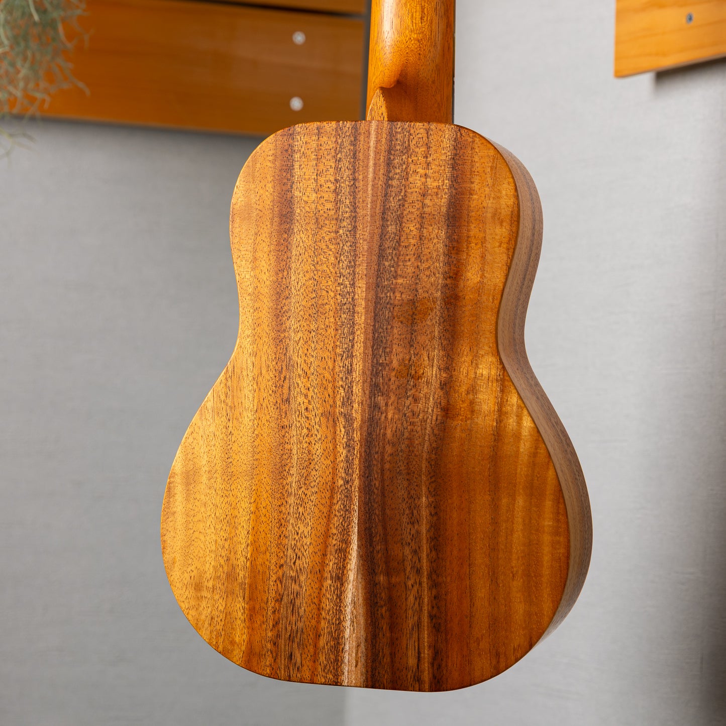 Kanile'a K-1C Natural