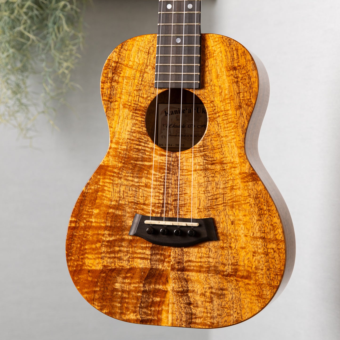 Kanilea K-1 T/ PG   28710