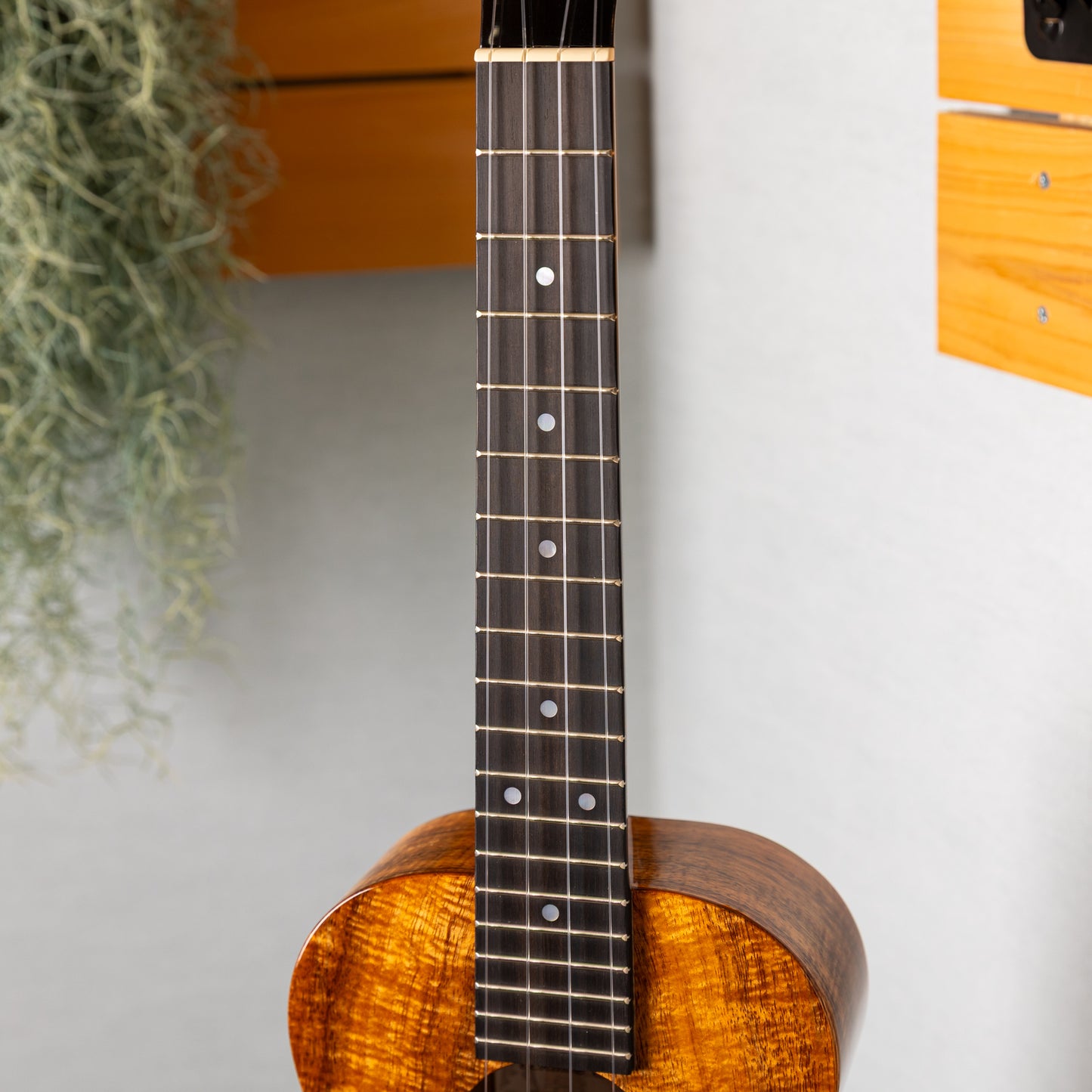 Kanilea K-1 T/ PG   28710