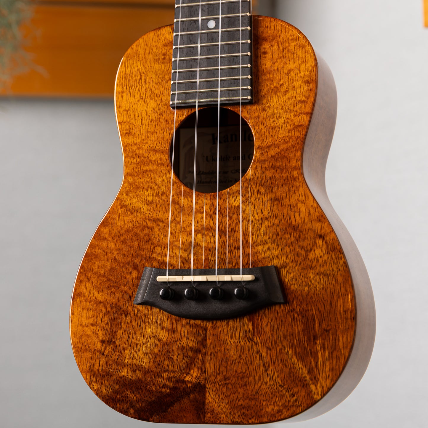 Kanilea K-1S/CORE