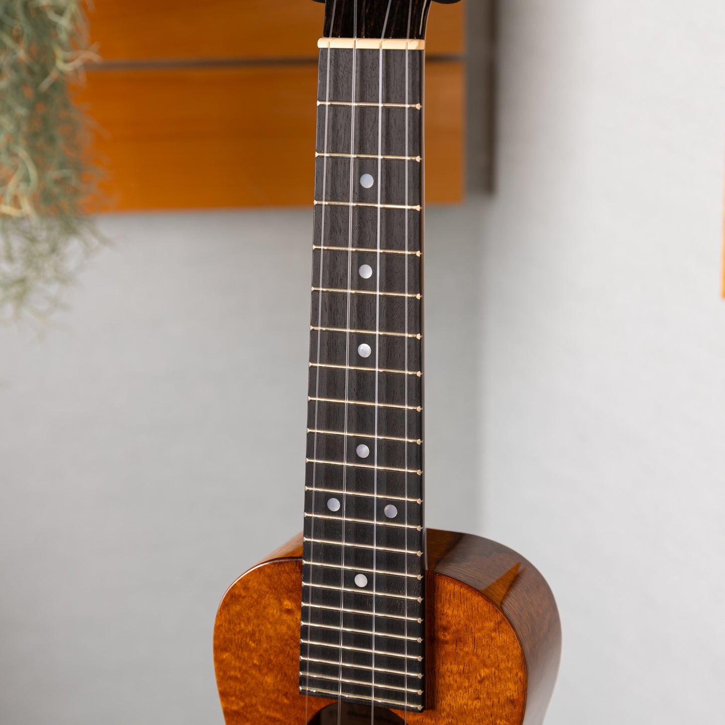 Kanilea K-1S/CORE