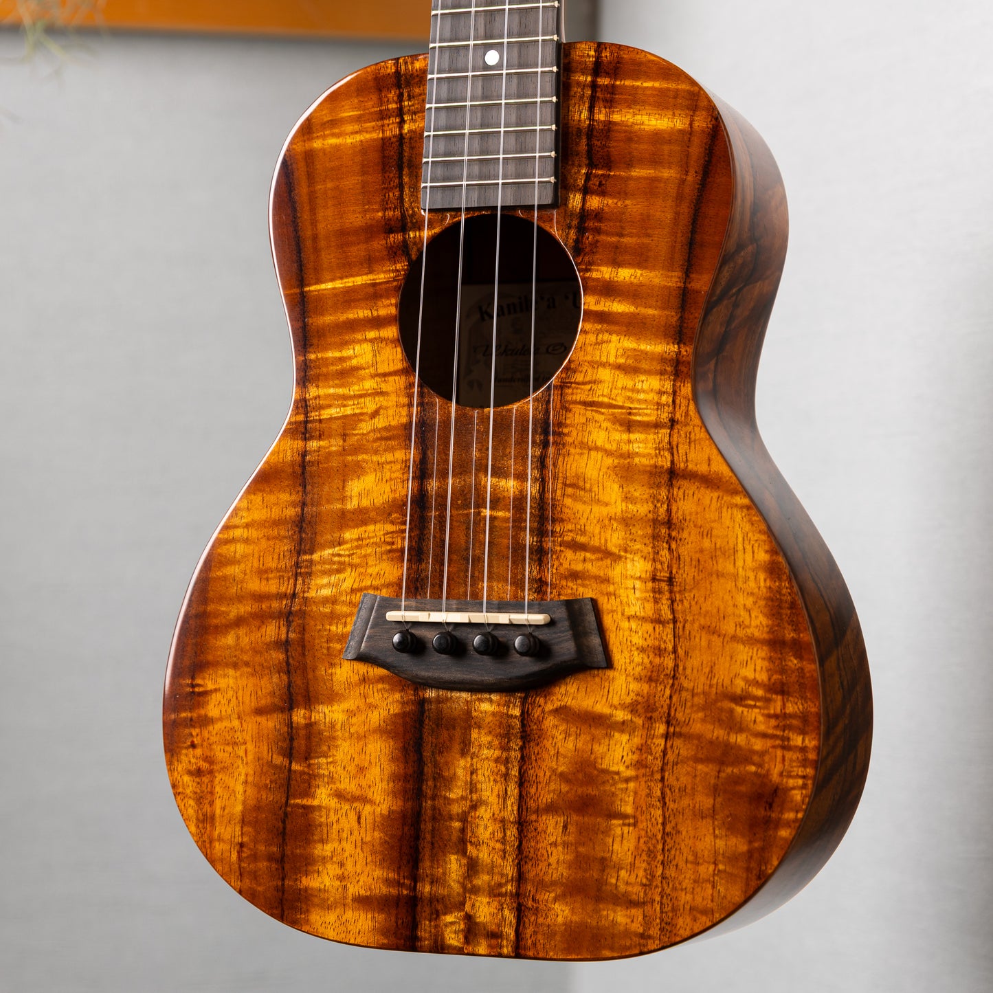 Kanilea K-1 T/ PG